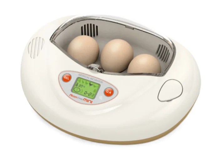 What key features should you look for in an egg incubator?