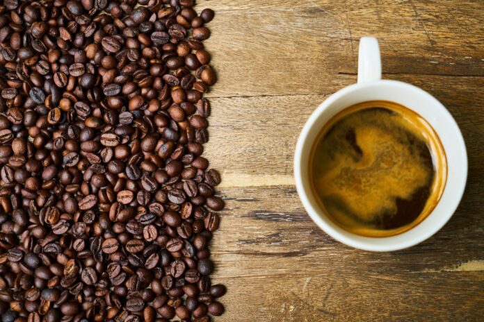 What are the two main types of coffee beans?