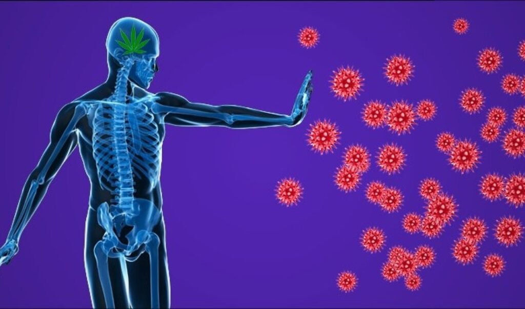 how to improve autoimmune system naturally