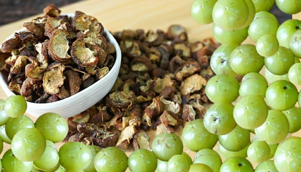 Bhumi Amla Uses in Traditional and Modern Herbal Medicine