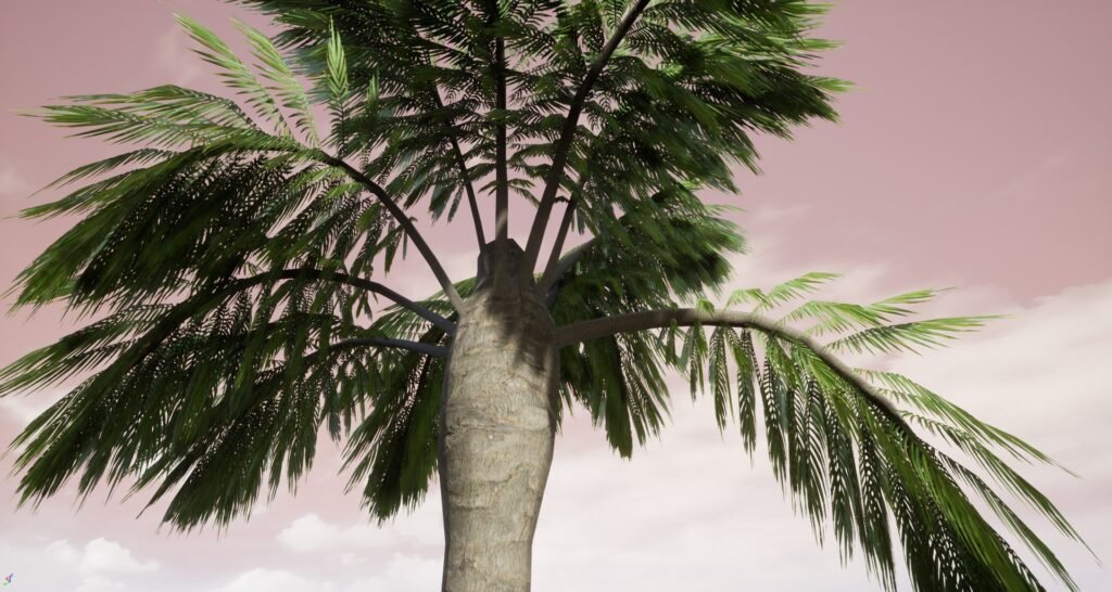 Popular Palm Tree Varieties Around the World