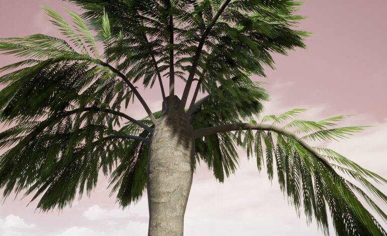Popular Palm Tree Varieties Around the World