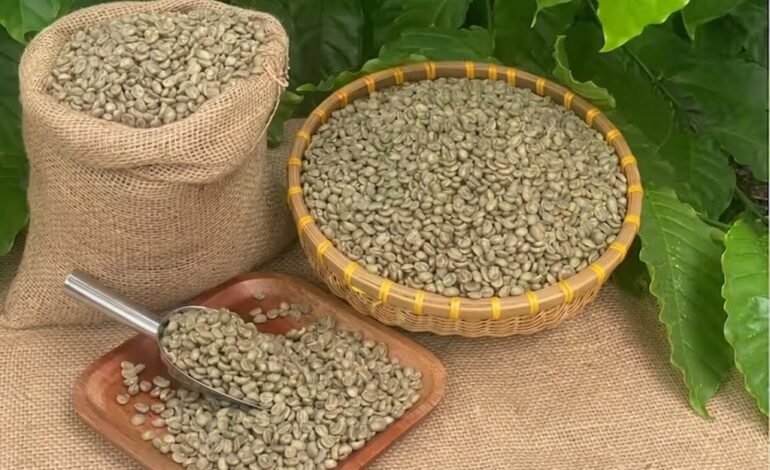 Honey Beans: The Flavor Difference You Can Actually Taste