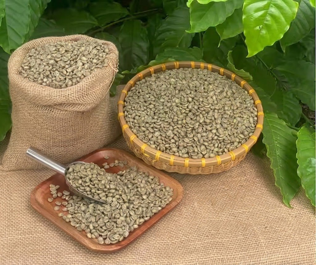 Honey Beans: The Flavor Difference You Can Actually Taste