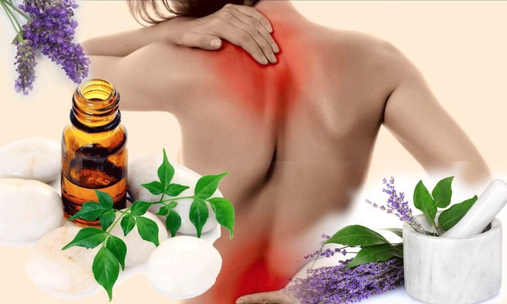 Peppermint Oil For Muscle Pain: Effective Relief Tips